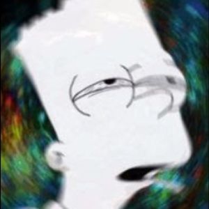 Meet your Posher, Ronnie